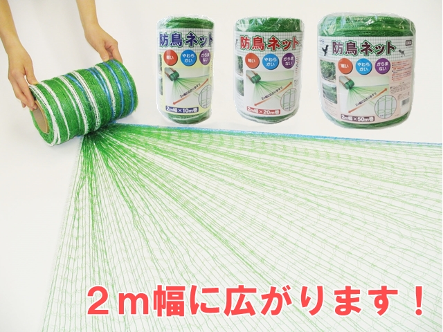 2m幅にひろがる防鳥ネット