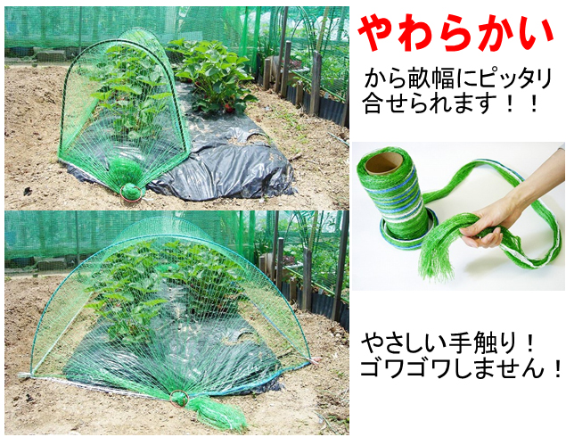 防鳥ネット 張り方の例
